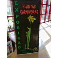 fb_img_1554712252322