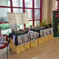 fb_img_1554712255541