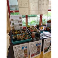 fb_img_1554712258746