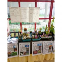 fb_img_1554712262429