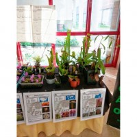 fb_img_1554712266580