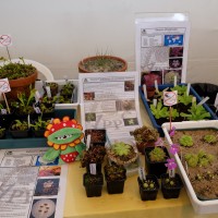 exposicao-da-primavera-2018