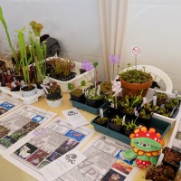 exposicao-da-primavera-2018