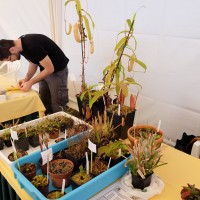 exposicao-da-primavera-2018