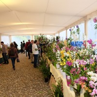 exposicao-da-primavera-2018