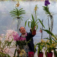 exposicao-da-primavera-2018