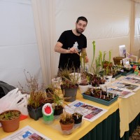 exposicao-da-primavera-2018