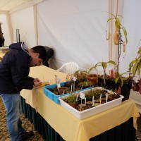 exposicao-da-primavera-2018