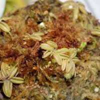 exposicao-da-primavera-2018