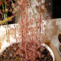 exposicao-da-primavera-2018