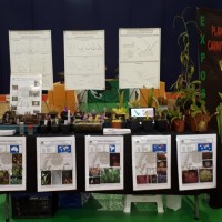 Lusoflora 2019