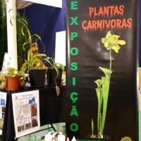 Lusoflora 2019