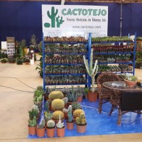 Lusoflora 2019